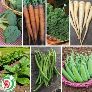 Three Bed Garden Collection Thumbnail